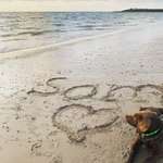 Ersteller:in Selina Profilbild