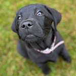 Ersteller:in Luka Antonia Profilbild