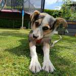 Ersteller:in Hardy Profilbild