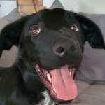 Ersteller:in Jessica Profilbild