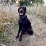 Ersteller:in Jessica Profilbild