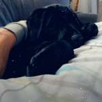 Ersteller:in Sonja Profilbild