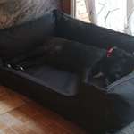 Ersteller:in Josephine Profilbild