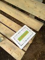 Hundeauslaufgebiet-Hundewald Boostedt-Bild