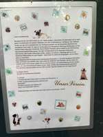 Hundeauslaufgebiet-Hundewald Boostedt-Bild