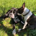 Ersteller:in Amberly Profilbild