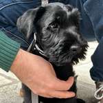 Ersteller:in Helen Profilbild