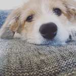 Ersteller:in Nicole Profilbild