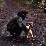 Ersteller:in Dominik Profilbild