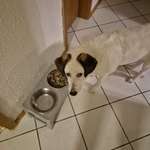 Ersteller:in Anja Profilbild