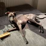 Ersteller:in Daniel Profilbild