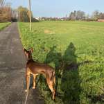 Ersteller:in Evelyn Profilbild