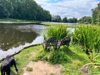 Hundeauslaufgebiet-Schlosspark Dennenlohe-Bild