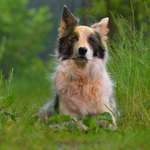 Ersteller:in pfalzblue.momentaufnahme Profilbild