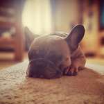 Ersteller:in Matthias Profilbild