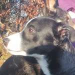 Ersteller:in Angelika Profilbild