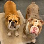 Ersteller:in Bella Profilbild