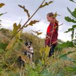 Ersteller:in Marietta Profilbild