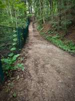 Hundeauslaufgebiet-Schlupkothener Steinbruch-Bild