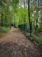 Hundeauslaufgebiet-Schlupkothener Steinbruch-Bild