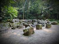 Hundeauslaufgebiet-Steinbruch Prangenhaus-Bild