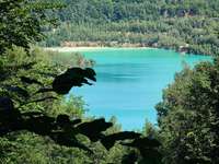 Hundeauslaufgebiet-Steinbruch Prangenhaus-Bild