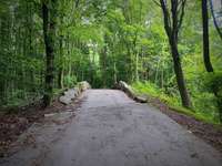 Hundeauslaufgebiet-Steinbruch Prangenhaus-Bild