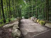 Hundeauslaufgebiet-Steinbruch Prangenhaus-Bild