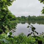 Hundeauslaufgebiet-Landschaftspark Eigenerbach-Schlammteich-Bild