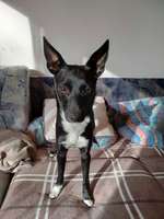 DNA test-Beitrag-Bild