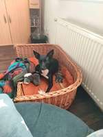 DNA test-Beitrag-Bild