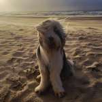 Ersteller:in Meike Profilbild