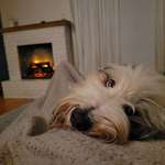 Ersteller:in Meike Profilbild