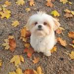 Ersteller:in Leonie Profilbild