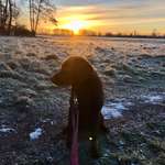 Ersteller:in Sanja Profilbild