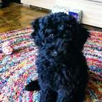 Ersteller:in Natascha Profilbild