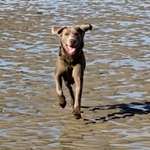 Ersteller:in Stefan Profilbild