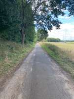 Hundeauslaufgebiet-Feldweg bei Ödeme-Bild