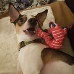 Ersteller:in Aenni Profilbild