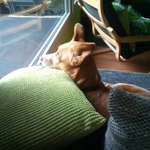 Ersteller:in Dagmar Profilbild