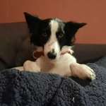 Ersteller:in Mieke Profilbild