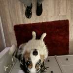 Ersteller:in Kati Profilbild