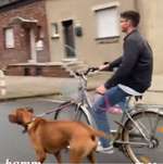 Ersteller:in Elias Profilbild