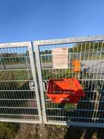 Hundeauslaufgebiet-Hundewiese am Tennisplatz-Bild