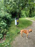 Hundeauslaufgebiet-Hundepark Pößneck-Bild