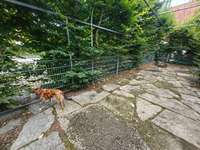 Hundeauslaufgebiet-Hundepark Pößneck-Bild