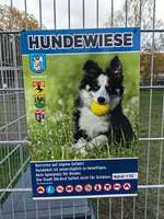 Hundeauslaufgebiet-Hundewiese Ohrdruf-Bild