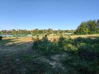 Hundeauslaufgebiet-Hundewiese am Tennisplatz-Bild