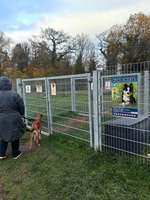 Hundeauslaufgebiet-Hundewiese Ohrdruf-Bild