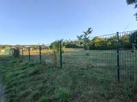 Hundeauslaufgebiet-Hundewiese am Tennisplatz-Bild